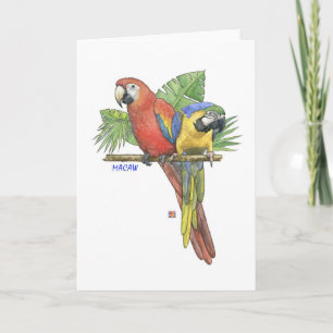 Tropische Macaws-Note-Karte Karte