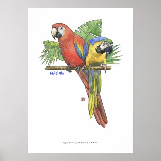 Tropische Macaws Poster (Vorne)