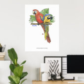 Tropische Macaws Poster (Heimbüro)