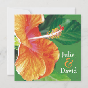 Tropische Mandarine Hibiskus Hochzeit Einladung