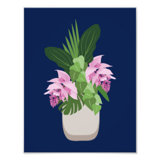 Tropische Medinilla Pink Blume Vase auf Dunkelblau Fotodruck