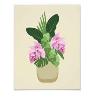 Tropische Medinilla Rosa Blume in Gelb Fotodruck