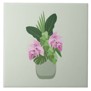 Tropische Medinilla Rosa Blume in grüner Vase Fliese