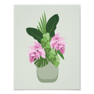 Tropische Medinilla Rosa Blume in Vase auf Grün Fotodruck
