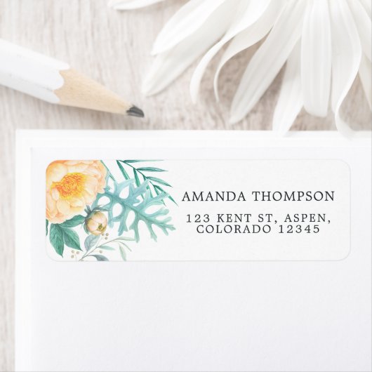 Tropische Minze (Insitu)