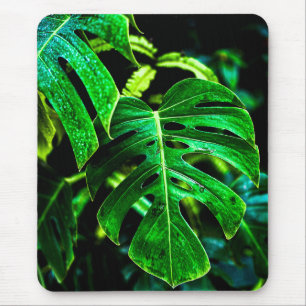 Tropische Monstera Glow – Dschungelblatt-Fotografi Mousepad