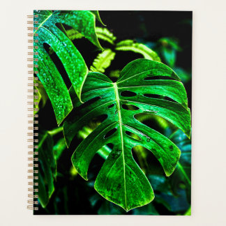 Tropische Monstera Glow – Dschungelblatt-Fotografi Planer