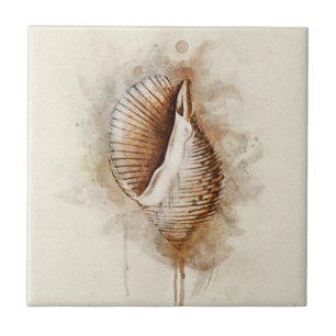Tropische Muschel am Küstenstrand Fliese