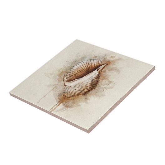 Tropische Muschel am Küstenstrand Fliese (Seite)