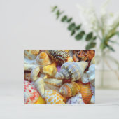 Tropische Muschelfotografie Postkarten (Stehend Vorderseite)