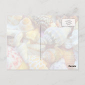 Tropische Muschelfotografie Postkarten (Rückseite)