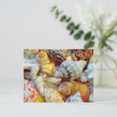 Tropische Muschelfotografie Postkarten (Stehend Vorderseite)