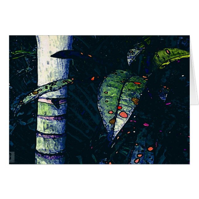 Tropische Nacht (Vorderseite (Horizontal))