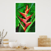 Tropische Ölmalerei mit Heliconia Poster (Küche)