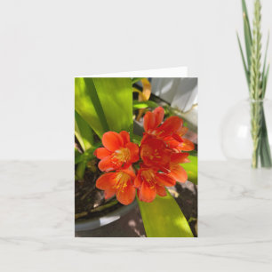 Tropische Orange Dankeskarte