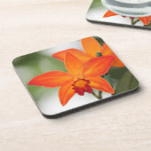Tropische orange Orchideen-Untersetzer Getränkeuntersetzer (Linke Seite)