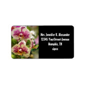 Tropische Orchideen Adressaufkleber (Vorne)