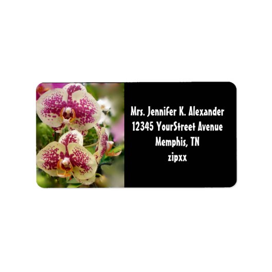 Tropische Orchideen Adressaufkleber (Vorne)