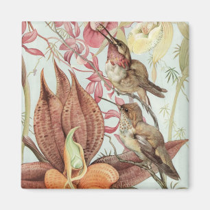 Tropische Orchideen, Blumen und Kolibris aus verga Magnet
