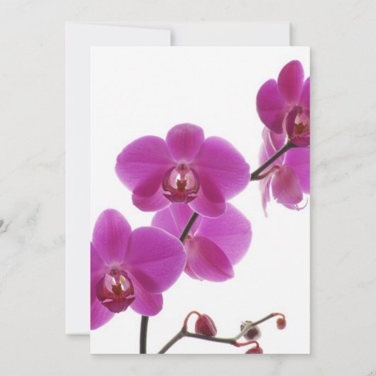 Tropische Orchideen-Hochzeits-Einladungen Einladung (Rückseite)