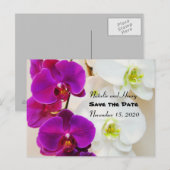 Tropische Orchideen Save the Date Ankündigungspostkarte (Vorne/Hinten)