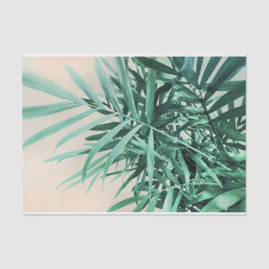 Tropische Palme Seidenpapier (Vorderseite)