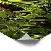 Tropische Palmen Blätter & Pflanze Waldposter Poster (Ecke)