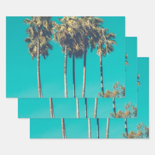 Tropische Palmen Geschenkpapier Set (Set)