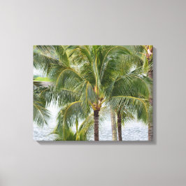 Tropische Palmen in Hawaii Leinwanddruck
