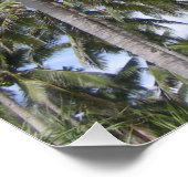 Tropische Palmen Poster (Ecke)