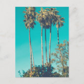 Tropische Palmen Postkarte (Vorderseite)