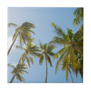 Tropische Palmen, Strand und Urlaubsstil Fliese