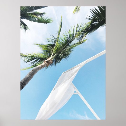 Tropische Palmen unter Blue Sky Fotografie Poster (Vorne)