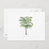 Tropische Palmensammlung - Bild 1 Postkarte (Vorne/Hinten)