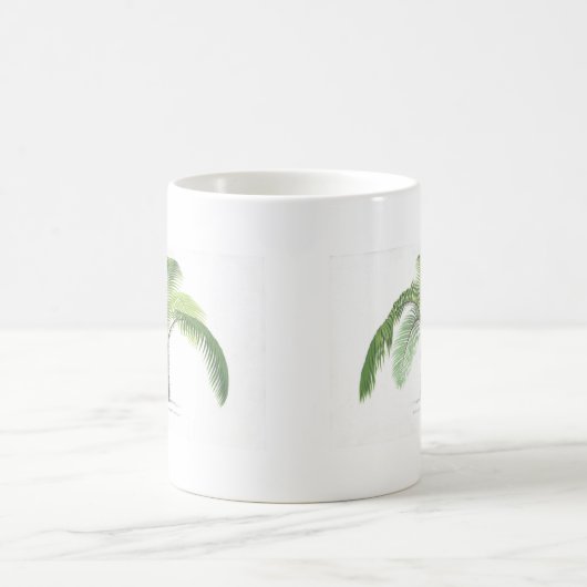 tropische Palmesammlung - Zeichnen VI Kaffeetasse (Mittel)