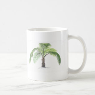 tropische Palmesammlung - Zeichnen VI Kaffeetasse