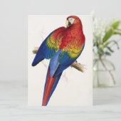 Tropische Papagei-Einladungen Einladung (Stehend Vorderseite)