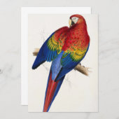 Tropische Papagei-Einladungen Einladung (Vorne/Hinten)