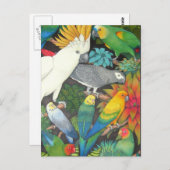 Tropische Papageien Postkarte (Vorne/Hinten)