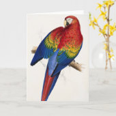 Tropische Papageienkarte Karte (Gelbe Blume)
