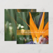 Tropische Paradiesvogel-Hochzeitsankündigungen Einladung (Vorne/Hinten)