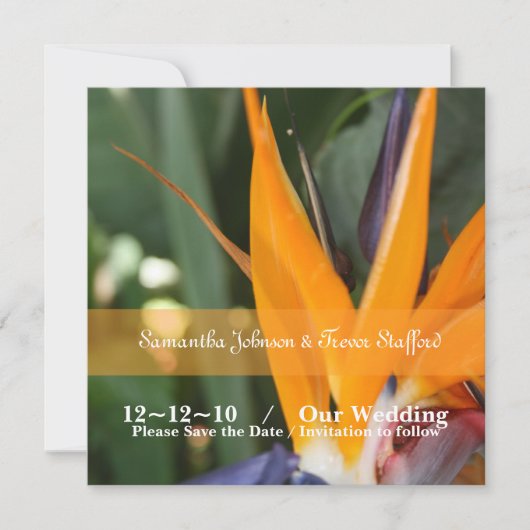 Tropische Paradiesvogel-Hochzeitsankündigungen Einladung (Vorderseite)