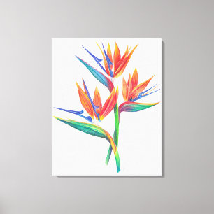 Tropische Paradiesvogel-Zeichnung Originalkunst Leinwanddruck