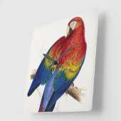 Tropische Parrot-Uhr Quadratische Wanduhr (Winkel)