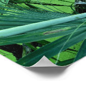 Tropische Pflanze im Salzteich Poster (Ecke)