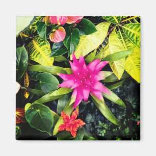 Tropische Pflanze Magnet