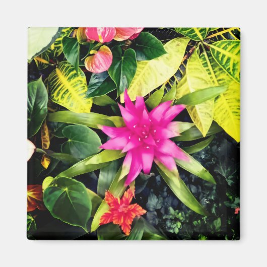 Tropische Pflanze Magnet (Vorne)