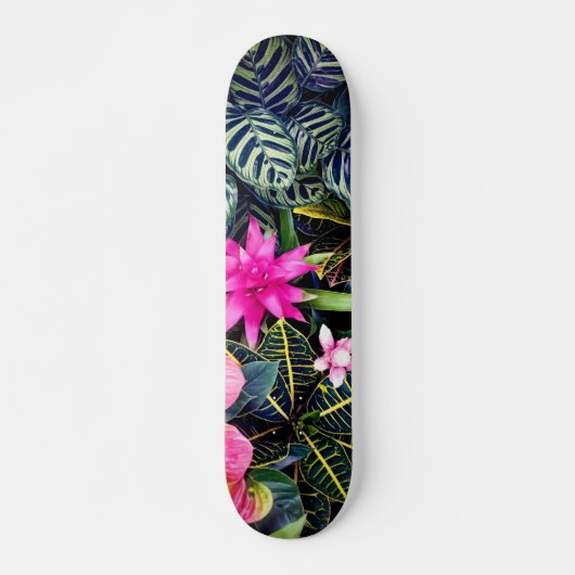 Tropische Pflanze Skateboard (Vorne)