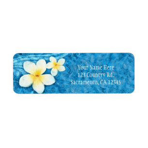 Tropische Plumeria-Blume blaue Sommer-Einladung