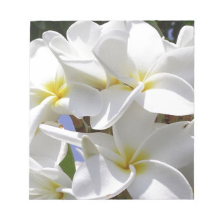 Tropische Plumeria-Blume Notizblock
